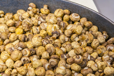 Similar image 22156585