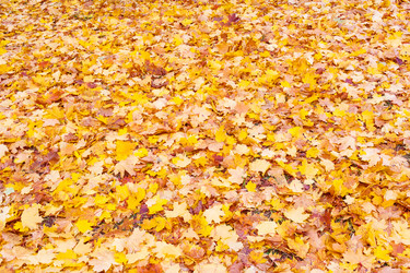 Similar image 22156618