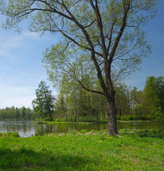 Similar image 22157223