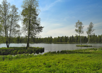 Similar image 22157230