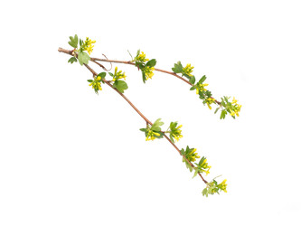 Similar image 22157233