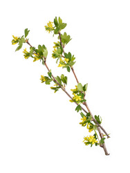 Similar image 22157253