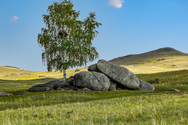 Similar image 22160241