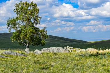 Similar image 22160243