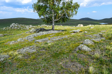 Similar image 22160258