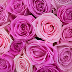 Similar image 22156640