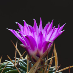 Similar image 22156654