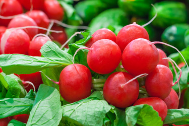 Similar image 22156667