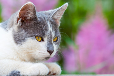 Similar image 22156670