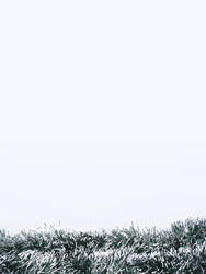 Similar image 22157031