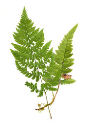 Similar image 22157284