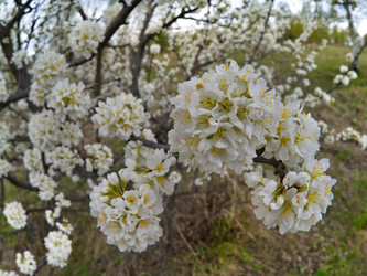 Similar image 22157902