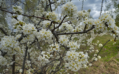 Similar image 22157903