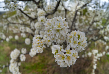 Similar image 22157904