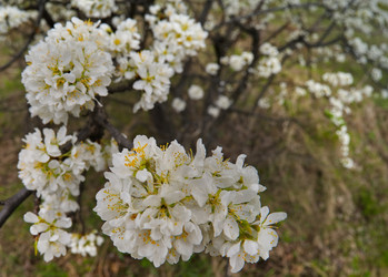 Similar image 22157905