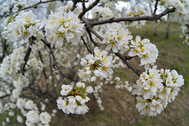 Similar image 22157906