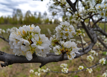 Similar image 22157908