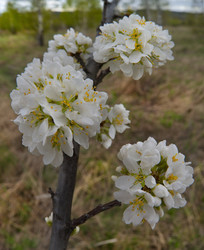 Similar image 22157909