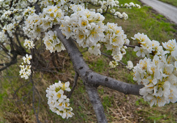 Similar image 22157910