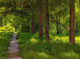 Similar image 22158101