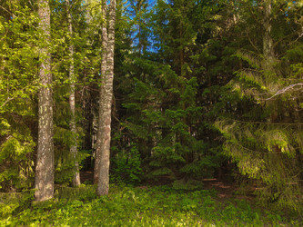 Similar image 22156678