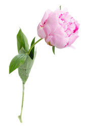 Similar image 22165216