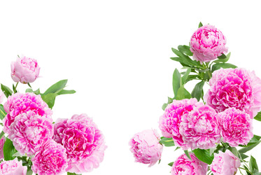 Similar image 22165217