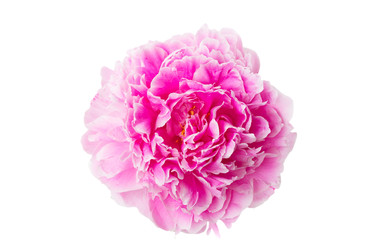 Similar image 22165218