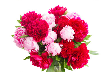 Similar image 22165219