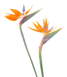 Similar image 22165221