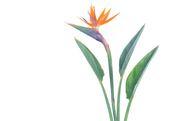 Similar image 22165223