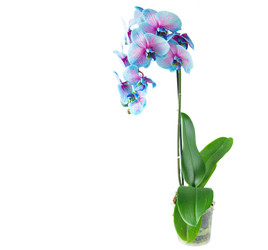 Similar image 22165225