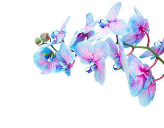 Similar image 22165227