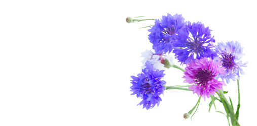 Similar image 22165229