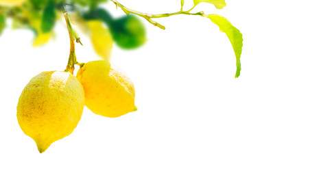 Similar image 22165233