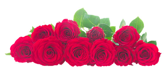 Similar image 22165234