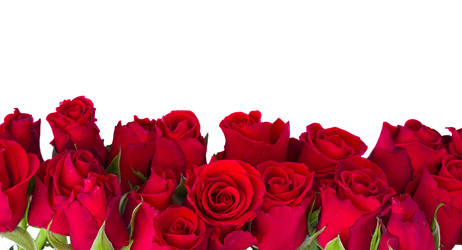 Similar image 22165235