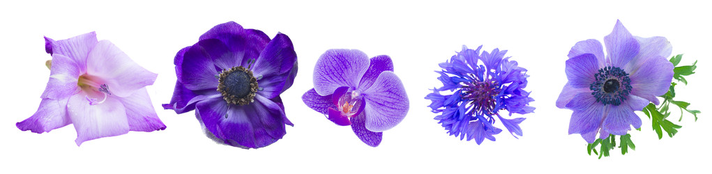 Similar image 22165238