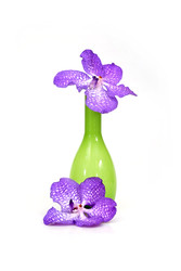 Similar image 22157059