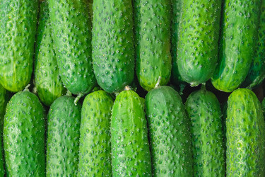 Similar image 22157933