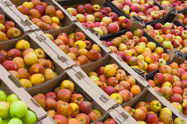 Similar image 22157934