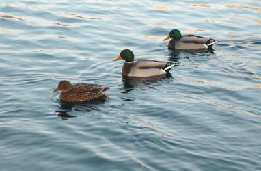 Similar image 22158148