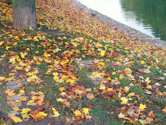 Similar image 22158808