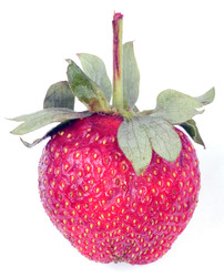 Similar image 22158813