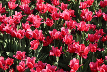 Similar image 22158819