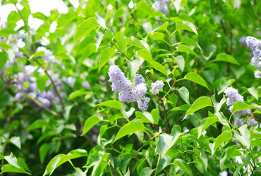 Similar image 22158820