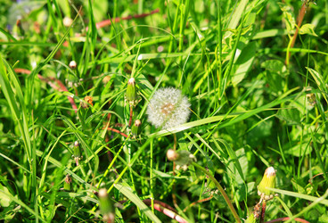 Similar image 22158821