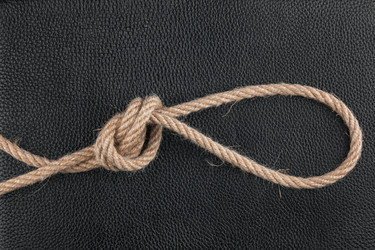 Similar image 22164080