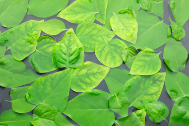 Similar image 22164098