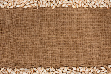 Similar image 22164102